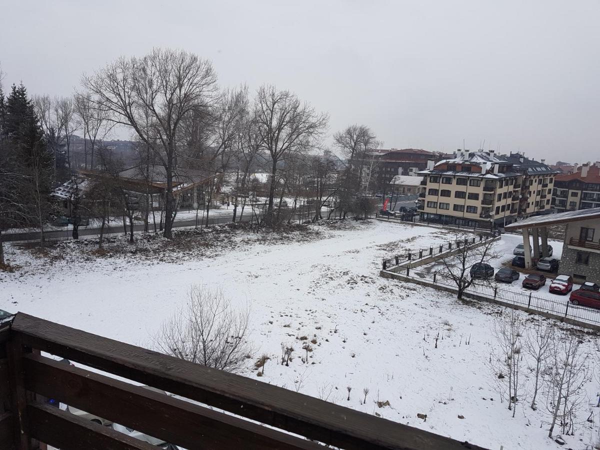 Mountain View Resort - Apartment B45 班斯科 外观 照片
